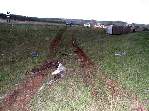 Fotos - Cachorro na pista provoca acidente envolvendo vários veículos próximo à Ibaté - Foto 22 de 29