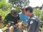 Policial Militar, funcionário público e populares salvam maritaca que estava presa em árvore - Foto 8 de 10