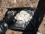 Fotos - PM encontra mais de 100 cápsulas de cocaína enterrada no São Sebastião - Foto 1 de 12
